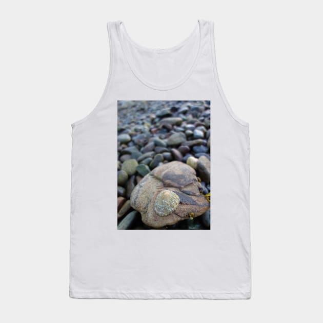 Limpet on a Stony Shore Tank Top by MJDiesl